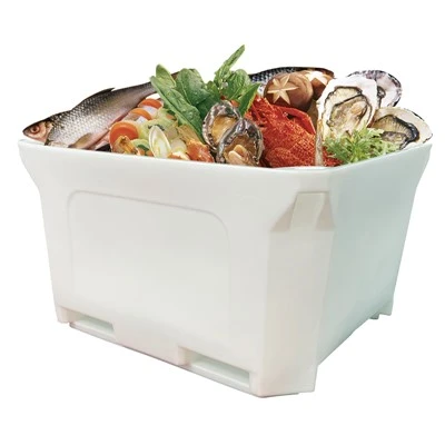 Contenitore isolante in plastica per la pesca